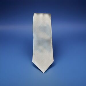 Egara Men's Solid Gray Skinny Tie 56" Length 2.5" Width Polyester (23A)